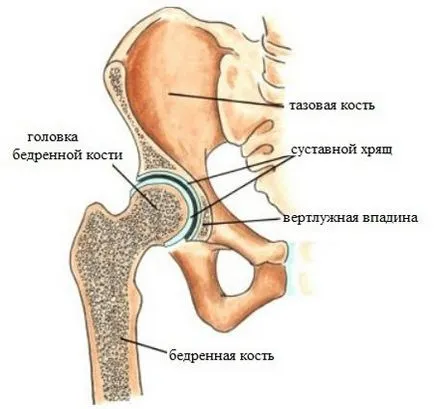 Dezvăluirea a articulațiilor șoldului - Yoga pentru începători