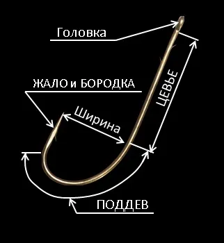 Въдички, външна и вътрешна класификация