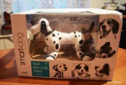 Robot kutya boldog okos kutya