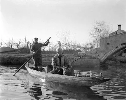 Halálos fegyver Hemingway, vadászfegyverek Vadászfegyver