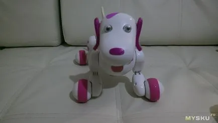 Rose, inteligent robot de declic (câine inteligent)