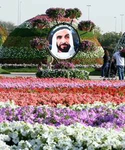 A legnagyobb virág park Dubai „Miracle gardden”, hol és hogyan lehet eljutni