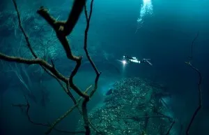 A legcsodálatosabb és hihetetlen dolgok, amelyek megtalálhatók a víz alatt