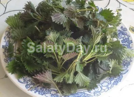 Saláta csalán - a legjobb recept egy finom reggeli recept fotókkal és videó