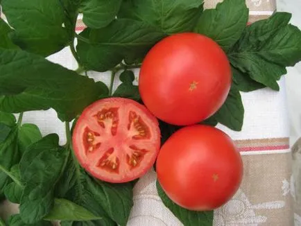 Cele mai populare soiuri de tomate nedeterminate, în special în cultură