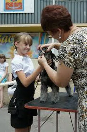 Școala tânără handler în Almaty