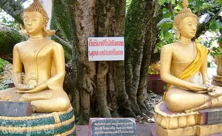 India, Bodhgaya locul unde Buddha a atins iluminarea