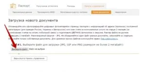 Scanare a pașaportului WebMoney - cum se descarcă