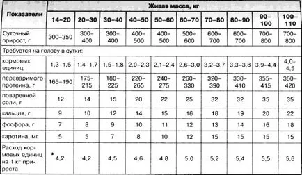 Mennyit kell etetni egy sertéshizlalási norma számítási táblázatot
