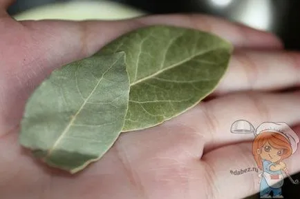 Salsola húsmentes recept lépésről lépésre