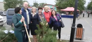 știri cărucior nunta unui oraș mare