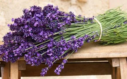 Buchet de nunta cu lavanda din categoria buchet de nunta - svadbalist totul despre nunta!