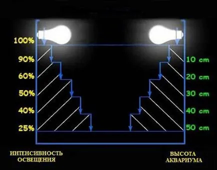 LED крушки за аквариум как да направите свои ръце