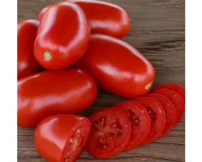 Tomate Descriere f1 clasică a soiului, caracteristici, recomandări pentru cultivarea