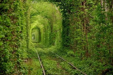 Tunnel of Love (tunel de dragoste) de ciugulit, regiunea Rivne, Ucraina - Ghid de călătorie - lumea