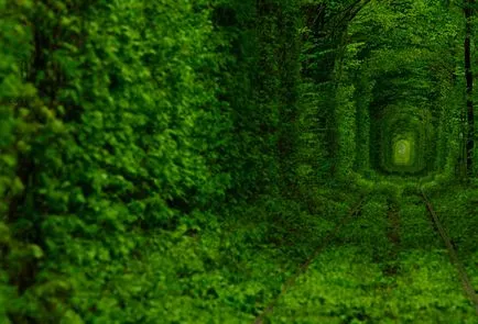 Tunnel of Love (tunel de dragoste) de ciugulit, regiunea Rivne, Ucraina - Ghid de călătorie - lumea