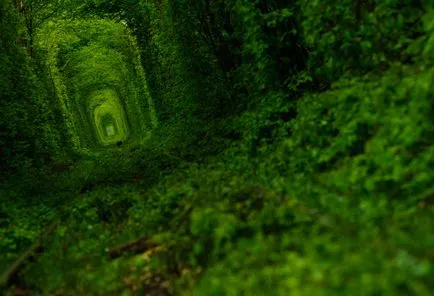 Tunnel of Love (tunel de dragoste) de ciugulit, regiunea Rivne, Ucraina - Ghid de călătorie - lumea