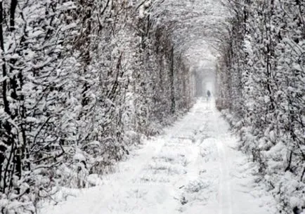 Tunnel of Love, Ukrajna, Klevan