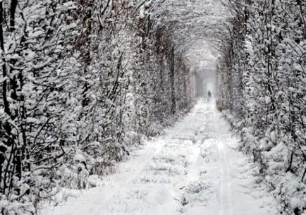 Tunnel of Love Klevan, Ukrajna