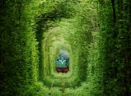 Tunnel of Love (tunel de dragoste) de ciugulit, regiunea Rivne, Ucraina - Ghid de călătorie - lumea