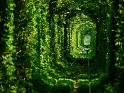 Tunnel of Love (tunel de dragoste) de ciugulit, regiunea Rivne, Ucraina - Ghid de călătorie - lumea