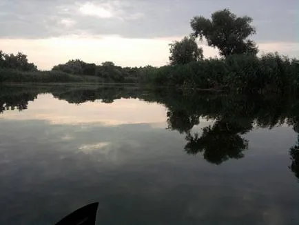 Carp - pentru a prinde evaziv - piscina liniștită