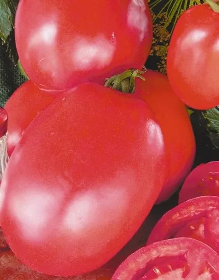 Tomate - descrierea gigant de zahăr din soi, cultivarea, tomate în special fotografie