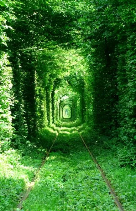 Tunnel of Love (tunel de dragoste) de ciugulit, regiunea Rivne, Ucraina - Ghid de călătorie - lumea