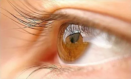 Билки за подобряване на зрението