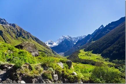 Trekking în flori vale Himalaya, în nordul Indiei