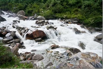 Trekking în flori vale Himalaya, în nordul Indiei