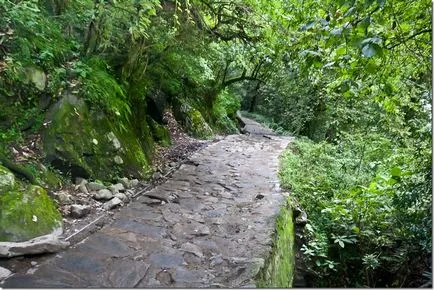 Trekking în flori vale Himalaya, în nordul Indiei