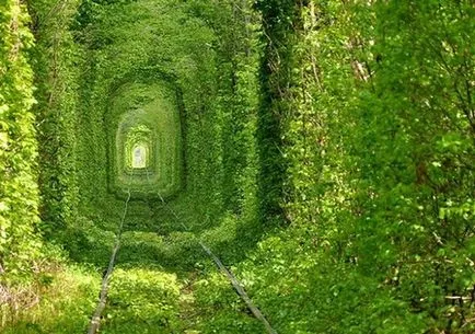 Tunnel of Love a falu Klevan Ukrajnában - egy fotót, hogy hogyan lehet eljutni az alagút