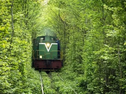 Tunnel of Love a falu Klevan Ukrajnában - egy fotót, hogy hogyan lehet eljutni az alagút