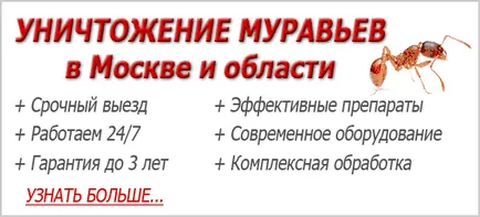 Видове ухапвания от насекоми, как да се избегнат, лек