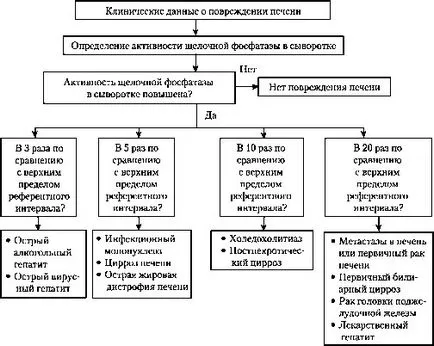 Y-глутамил трансфераза в серум