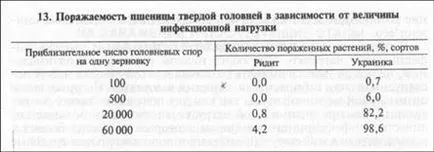 încărcare infecțioasă - studopediya