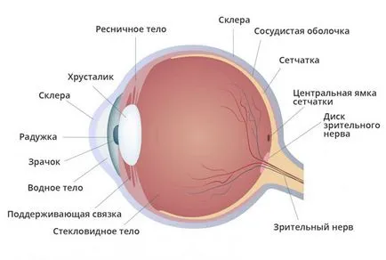 Инфаркт на очите (зрителния нерв) - това е, причините, симптоми, лечение, последици