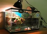 Ultraibolya lámpával akvárium