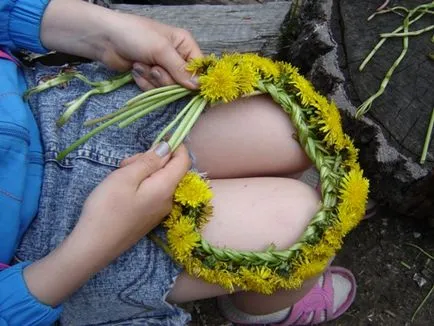 Cununa de flori salbatice pentru fete