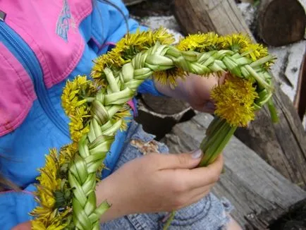 Cununa de flori salbatice pentru fete