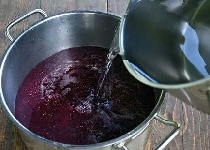 Vinul din gem de coacăz negru și vin de casă din coacăze negre fermentate