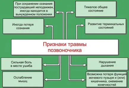 gerincvelő sérülés utáni felépülés