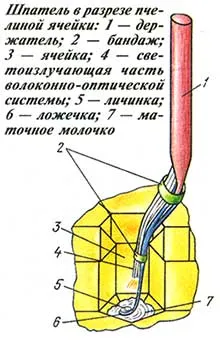 списание 