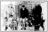 Istoria rasei Husky Siberian