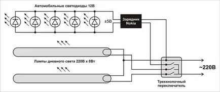 Efectuarea de acoperire acvariu - sgrafix