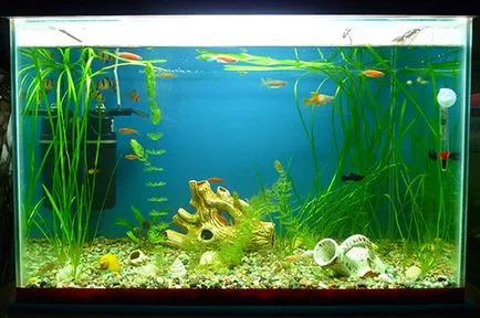 Осъществяване аквариум капак - sgrafix