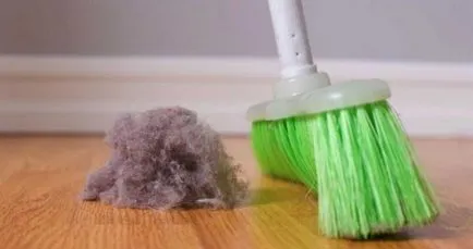 Как да се отървете от праха в апартамента как да изчистите къщата, как абсорбатор