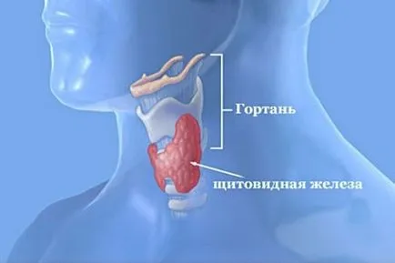 Cum de a trata o tiroidita, informatii autoimune cronice de sănătate