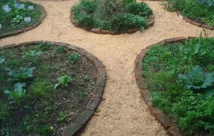 13 moduri de a utiliza rumeguș în grădină -